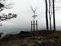  14. April 2012 - ein kühler, nebliger und trauriger Samstagnachmittag bei Samiels Ginkgo